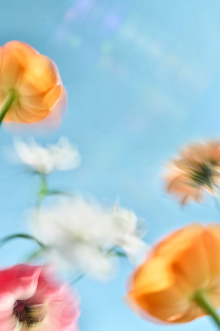 Issey Miyake inspired fashion photography